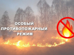 О введении на территории Республики Бурятия особого противопожарного режима