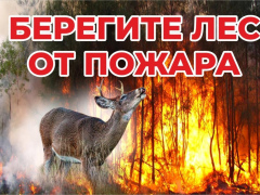 На территории заповедника Джергинский проходят профилактические противопожарные мероприятия