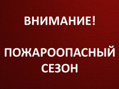 Приказ об ограничении пребывания граждан в лесах и въезд в них транспортных средств